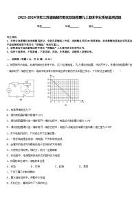 2023-2024学年江苏省高邮市阳光双语物理九上期末学业质量监测试题含答案