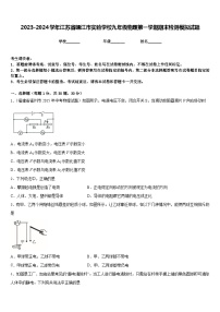 2023-2024学年江苏省靖江市实验学校九年级物理第一学期期末检测模拟试题含答案