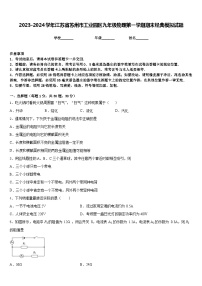 2023-2024学年江苏省苏州市工业园区九年级物理第一学期期末经典模拟试题含答案