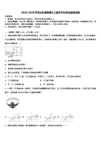 2023-2024学年山东省物理九上期末学业质量监测试题