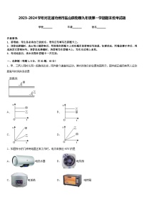 2023-2024学年河北省沧州市盐山县物理九年级第一学期期末统考试题含答案