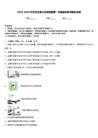 2023-2024学年河北省九年级物理第一学期期末联考模拟试题含答案