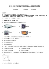 2023-2024学年河北省邯郸市鸡泽县九上物理期末检测试题含答案