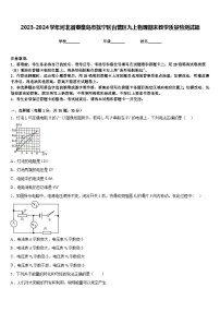 2023-2024学年河北省秦皇岛市抚宁区台营区九上物理期末教学质量检测试题含答案