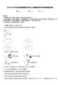 2023-2024学年河北省秦皇岛市名校九上物理期末教学质量检测模拟试题含答案