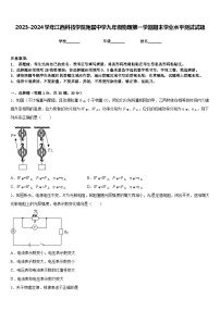 2023-2024学年江西科技学院附属中学九年级物理第一学期期末学业水平测试试题含答案