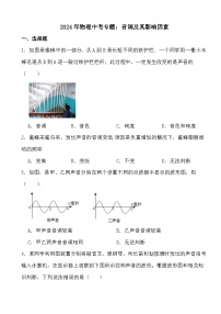 2024年物理中考专题：音调及其影响因素