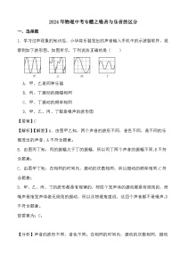 2024年物理中考专题之噪音与乐音的区分 (解析)