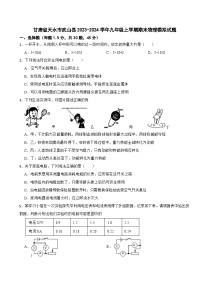 甘肃省天水市武山县2023-2024学年九年级上学期期末物理模拟试题