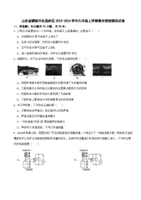 山东省聊城市东昌府区2023-2024学年九年级上学期期末物理模拟试卷