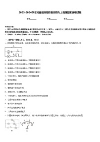 2023-2024学年河南省洛阳市新安县九上物理期末调研试题含答案