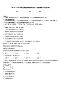 2023-2024学年河南省洛阳市宜阳县九上物理期末检测试题含答案