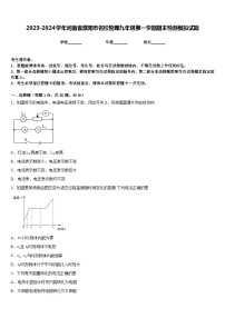 2023-2024学年河南省濮阳市名校物理九年级第一学期期末检测模拟试题含答案