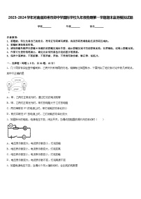 2023-2024学年河南省郑州市郑中学国际学校九年级物理第一学期期末监测模拟试题含答案