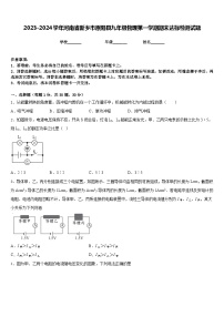 2023-2024学年河南省新乡市原阳县九年级物理第一学期期末达标检测试题含答案