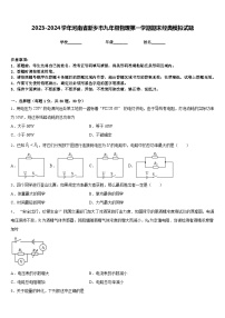 2023-2024学年河南省新乡市九年级物理第一学期期末经典模拟试题含答案