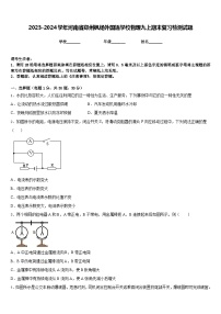 2023-2024学年河南省郑州枫杨外国语学校物理九上期末复习检测试题含答案