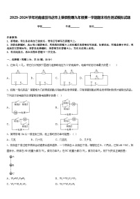 2023-2024学年河南省驻马店市上蔡县物理九年级第一学期期末综合测试模拟试题含答案