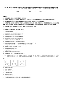 2023-2024学年浙江嘉兴北师大南湖附学校物理九年级第一学期期末联考模拟试题含答案