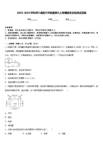 2023-2024学年浙江省嘉兴市嘉善县九上物理期末达标测试试题含答案