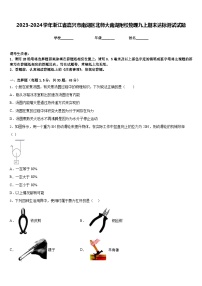 2023-2024学年浙江省嘉兴市南湖区北师大南湖附校物理九上期末达标测试试题含答案