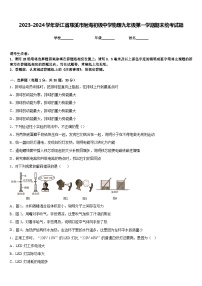 2023-2024学年浙江省慈溪市附海初级中学物理九年级第一学期期末统考试题含答案