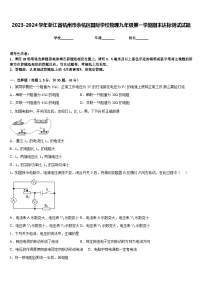 2023-2024学年浙江省杭州市余杭区国际学校物理九年级第一学期期末达标测试试题含答案