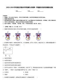 2023-2024学年海北市重点中学物理九年级第一学期期末质量检测模拟试题含答案