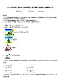 2023-2024学年海南省定安县联考九年级物理第一学期期末监测模拟试题含答案