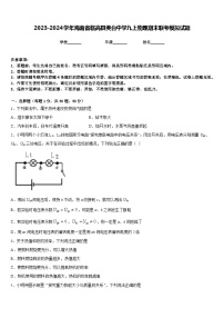 2023-2024学年海南省临高县美台中学九上物理期末联考模拟试题含答案