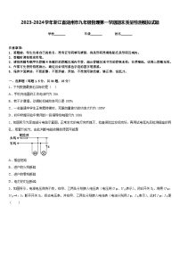 2023-2024学年浙江省湖州市九年级物理第一学期期末质量检测模拟试题含答案