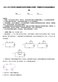 2023-2024学年浙江省湖州市实验学校物理九年级第一学期期末学业质量监测模拟试题含答案