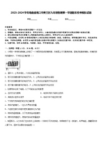 2023-2024学年海南省海口市美兰区九年级物理第一学期期末统考模拟试题含答案