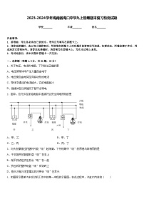 2023-2024学年海南省海口中学九上物理期末复习检测试题含答案