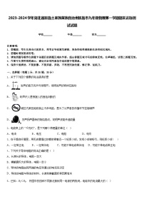 2023-2024学年湖北省恩施土家族苗族自治州恩施市九年级物理第一学期期末达标测试试题含答案