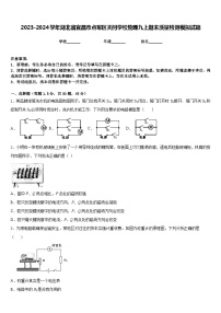 2023-2024学年湖北省宜昌市点军区天问学校物理九上期末质量检测模拟试题含答案