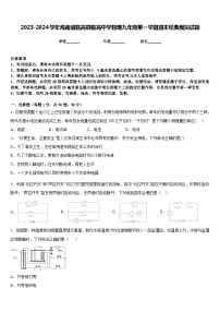 2023-2024学年海南省临高县临高中学物理九年级第一学期期末经典模拟试题含答案