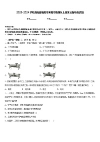 2023-2024学年湖南省衡阳市耒阳市物理九上期末达标检测试题含答案