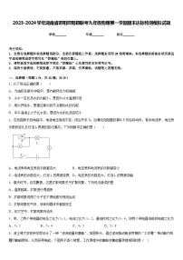 2023-2024学年湖南省邵阳邵阳县联考九年级物理第一学期期末达标检测模拟试题含答案