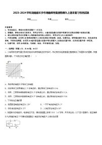 2023-2024学年湖南省长沙市周南教育集团物理九上期末复习检测试题含答案