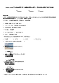 2023-2024学年湖南省长沙市周南石燕湖中学九上物理期末教学质量检测试题含答案