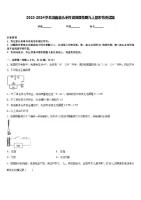 2023-2024学年湖南省永州市双牌县物理九上期末检测试题含答案
