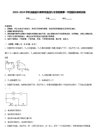 2023-2024学年湖南省长郡教育集团九年级物理第一学期期末调研试题含答案