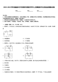 2023-2024学年湖南省长沙市浏阳市浏阳河中学九上物理期末学业质量监测模拟试题含答案