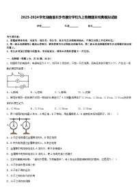 2023-2024学年湖南省长沙市部分学校九上物理期末经典模拟试题含答案