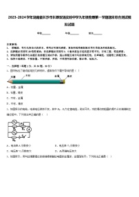 2023-2024学年湖南省长沙市长郡双语实验中学九年级物理第一学期期末综合测试模拟试题含答案