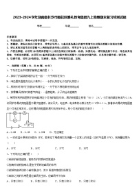 2023-2024学年湖南省长沙市雨花区雅礼教育集团九上物理期末复习检测试题含答案