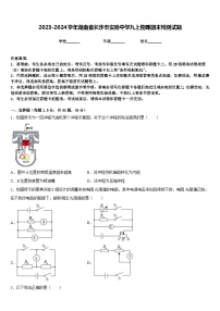 2023-2024学年湖南省长沙市实验中学九上物理期末检测试题含答案