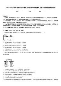 2023-2024学年湖南长沙市雅礼洋湖实验中学物理九上期末达标检测模拟试题含答案