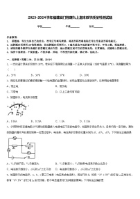 2023-2024学年福建厦门物理九上期末教学质量检测试题含答案